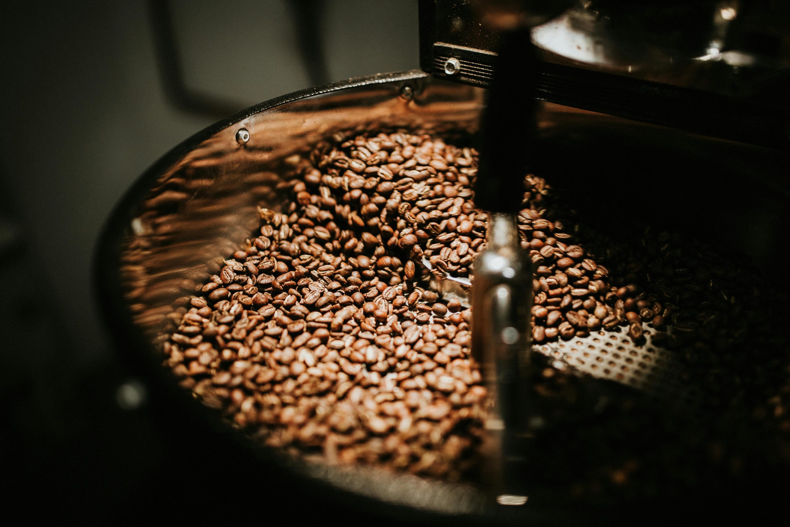 best medium roast coffee beans being grinded